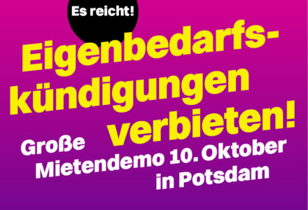 Warum wir gemeinsam gegen die Wohnungskrise in Potsdam auf die Straße gehen